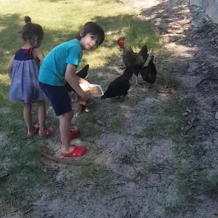 Bodrum Masali Кемпинг Гюмюшлюк