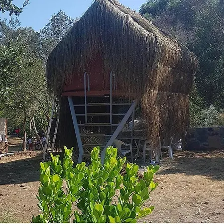 Bodrum Masali Kemping *