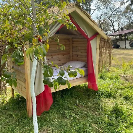 Bodrum Masali Кемпинг