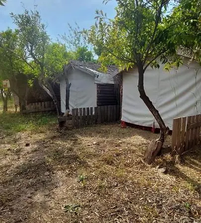 Bodrum Masali * Гюмюшлюк