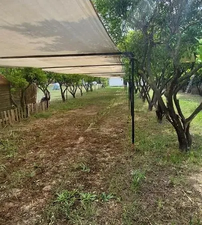 Bodrum Masali Гюмюшлюк