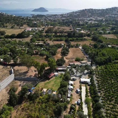 Bodrum Masali Гюмюшлюк