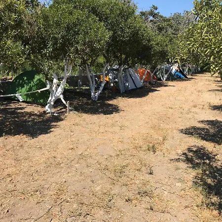 Bodrum Masali Гюмюшлюк