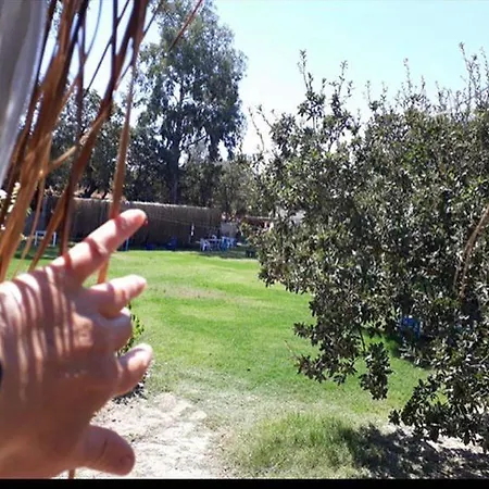 Campingplatz Bodrum Masali Gümüşlük