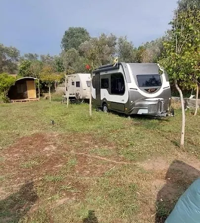 Campingplatz Bodrum Masali