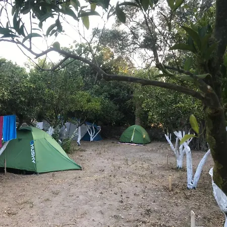Bodrum Masali Campingplatz Gümüşlük