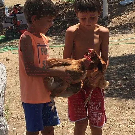 Bodrum Masali 규무슬럭