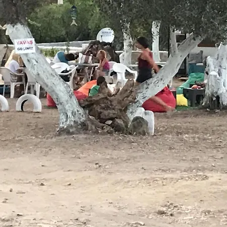 Bodrum Masali Campingplatz Gümüşlük